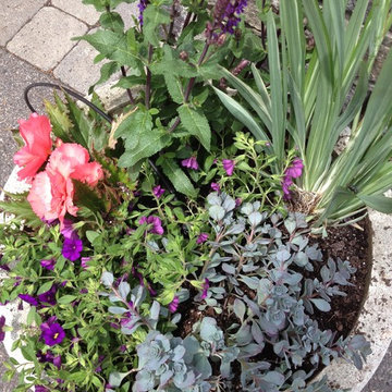 Seasonal Container Plantings & Changeovers