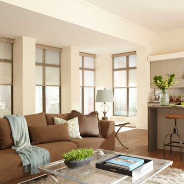 Introducing Smart Shades by Budget Blinds and Lutron