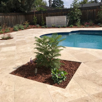 Los Altos Pool Party