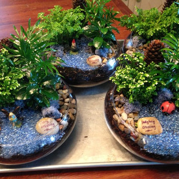 Fairy Gardens, Terrariums & Succulents