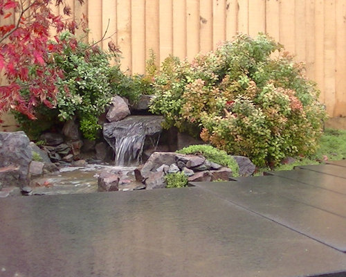 Modern Japanese Garden at Design Studio