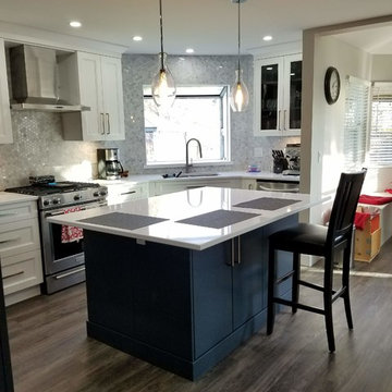 Pitt Meadows Kitchen