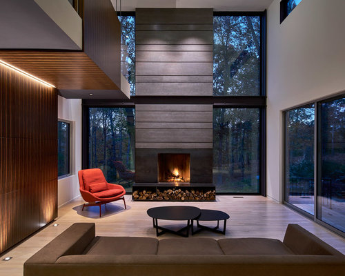 Best Modern Living Room Design Ideas & Remodel Pictures | Houzz  