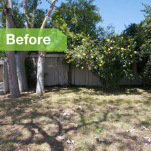 Before & After