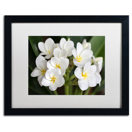 Pierre Leclerc 'Plumeria Flowers' Matted Framed Art, Black Frame, White, 20x16