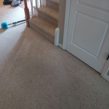 Residential Carpet Installation