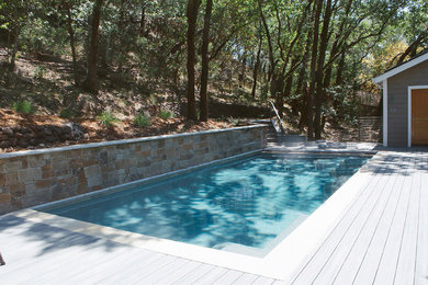 Mid-sized backyard rectangular pool photo in San Francisco with decking