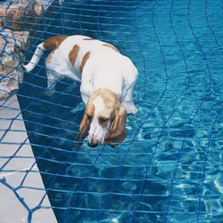 Pool Nets/Pond Nets/Spa Nets - Products