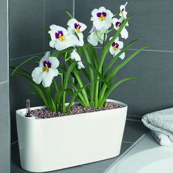 Lechuza - Outdoor Decor