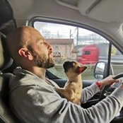 Johan Cerveau's photo