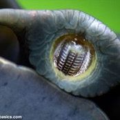 Tracey Rudisill's photo