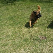 Jeanne Fedor's photo
