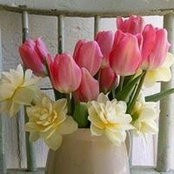 Joni Zephro's photo