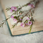 Samar Salam's photo