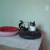 Laurel Hartley's photo