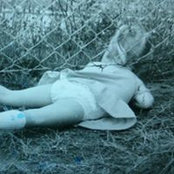 Foto von Ramona Wolf
