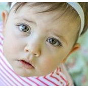 Liz Livengood's photo