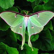 Ron-Barbara Ottes-Quintana's photo