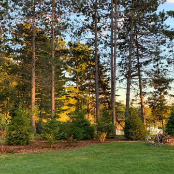 Instant Forest in Wisconsin
