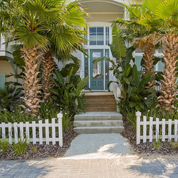 Sea Colony Landscapes