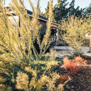 Contemporary Rancher Landscaping Update