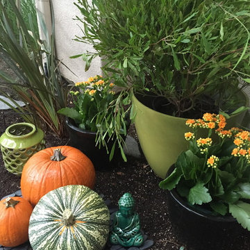 Seasonal Staging - Ideas for Colorful Celebration!