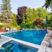 Pool Back Yard