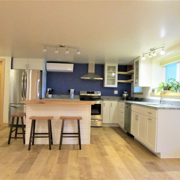 Lakeside Basement Kitchen