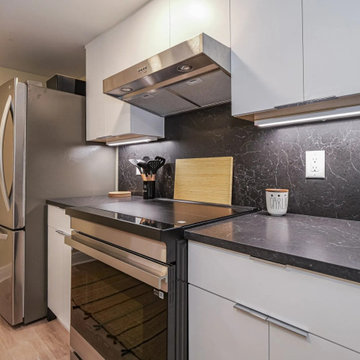 Condo Kitchen Renovation