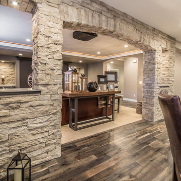 Lone Tree Basement