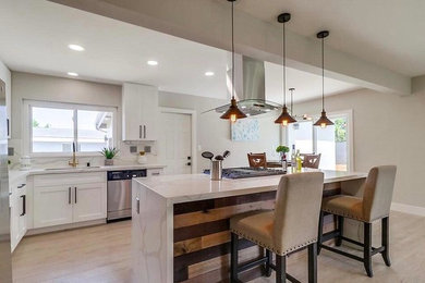 Example of a minimalist kitchen design in San Francisco