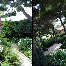 casa nella mia pineta