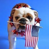 Eryn Gable's photo