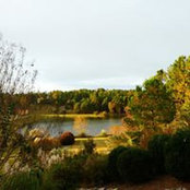 Cindy Vovakes's photo