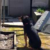 Charlie's photo