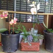 Annie Argel's photo