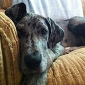 Amanda Baleiko's photo