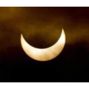 Christy Burke's photo