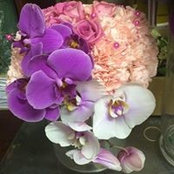 Sharona Dada's photo