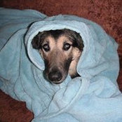 Melissa Steinert's photo