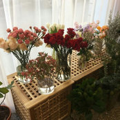 Hanna B's photo