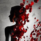 Marie Meyer's photo