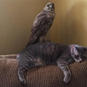 Donald Kohler's photo