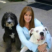 Sherri Palmeri's photo