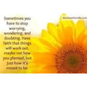 Kathy Johnson's photo