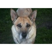 Erin Mitchell's photo