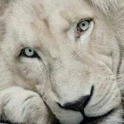 Foto de Casmir Casper