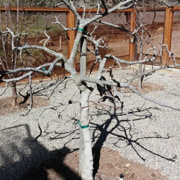 Santa Ynez Ranch