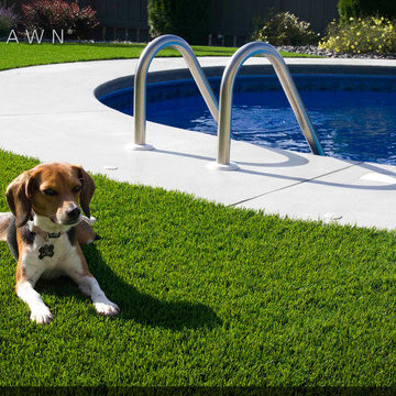 Artificial Grass Pool Installations