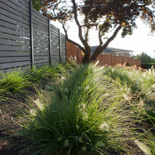 fence